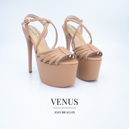 20250115-Venus-NM-6.5-3-